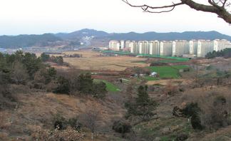 용해2지구 및 백련마을 농경지(2011년)