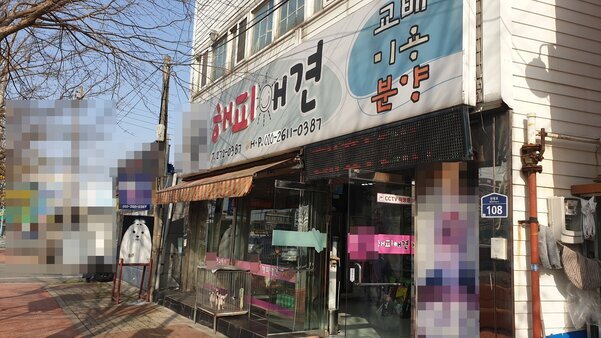 해피애견입니다
