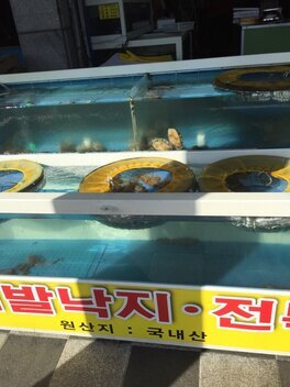 맛있는홍어