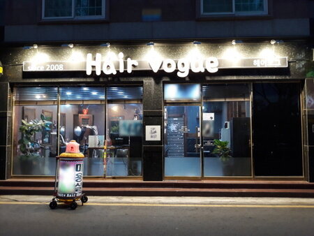 헤어보그