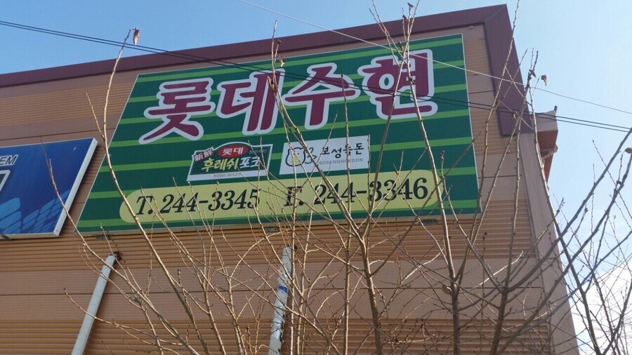 롯데수현