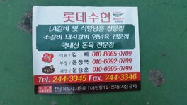 롯데수현