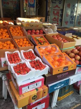 한국과일
