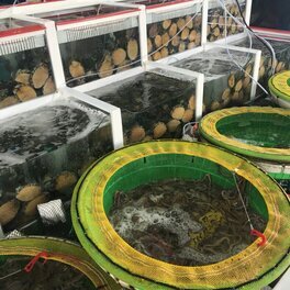 신안압해수산