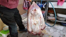 신정수산