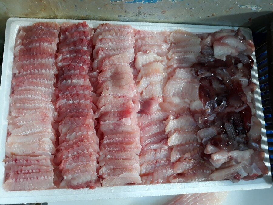 청해수산(홍어)