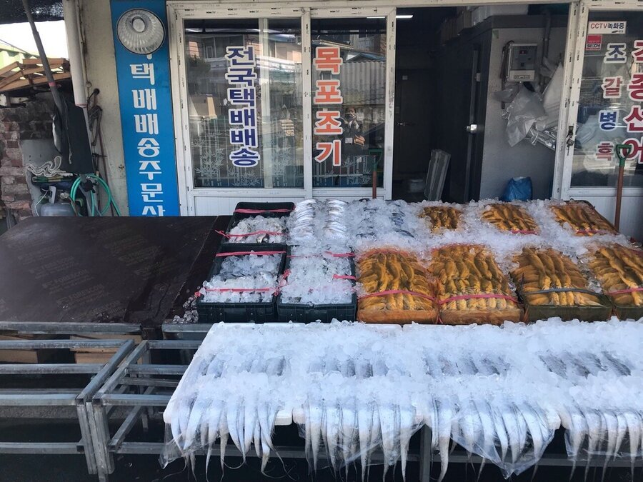 목포조기