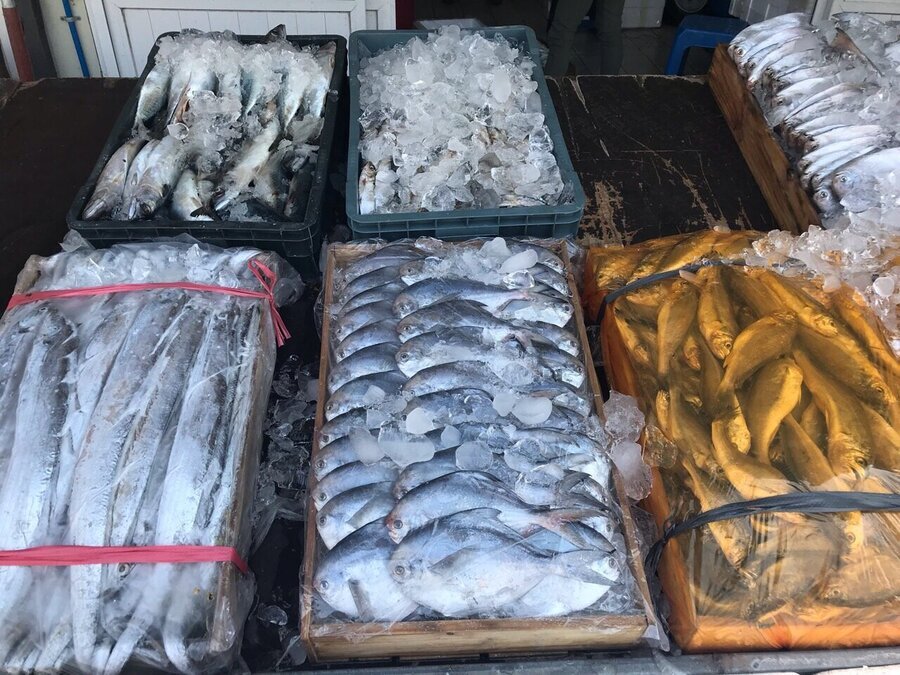 웰빙자연수산