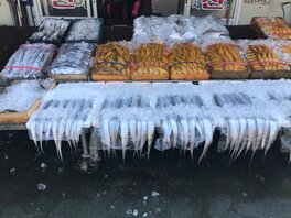 웰빙자연수산