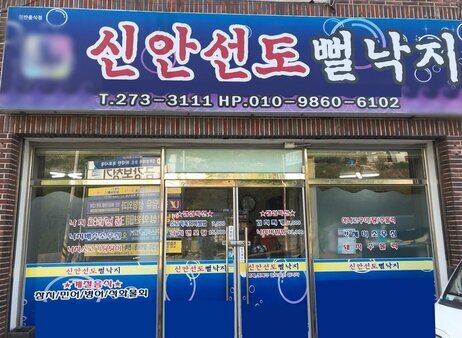 신안선도뻘낙지