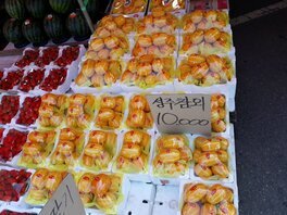 124번 똘이청과