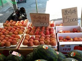 124번 똘이청과