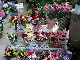 정원꽃도매시장