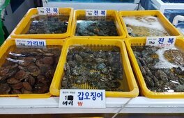 다도해수산