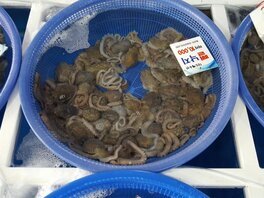 다도해수산