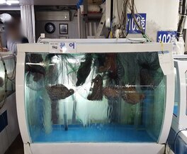 다도해수산