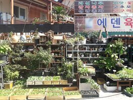 에덴육묘장