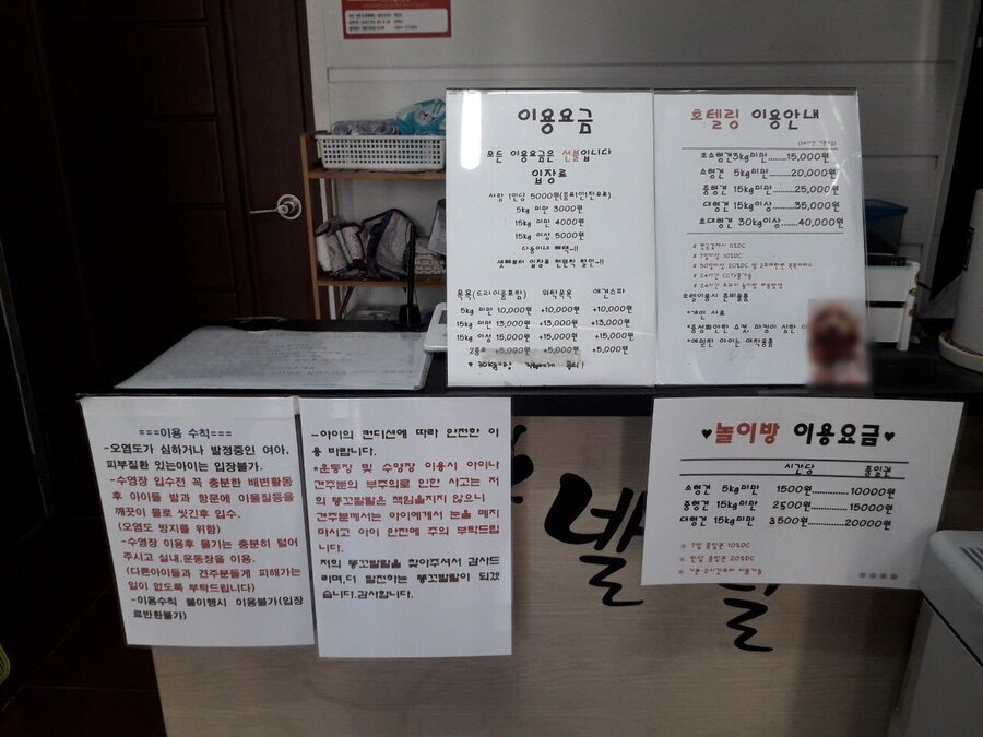 똥꼬발랄애견카페