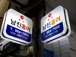 남진홍어