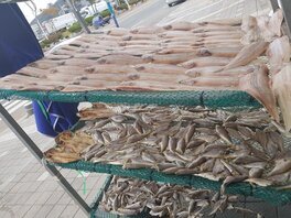 흑산가거도수산