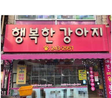 행복한강아지