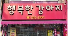 행복한강아지