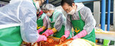 (11.24.서남권수산물유통센터) 새마을부녀회 김장김치 나눔행사