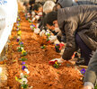 (12.20.용해동955) 주민제안 소규모 재생사업 삼학도 꽃길 화단 가꾸기 행사