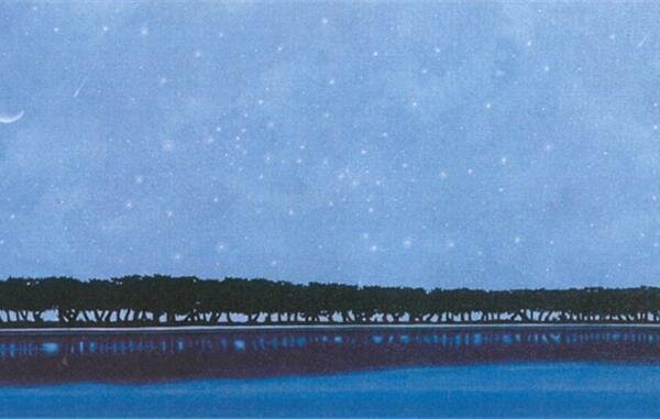 The Starry Night_Island_#942