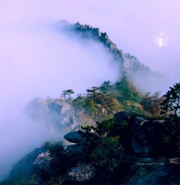 유달산 비경
