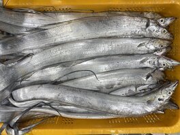 간판