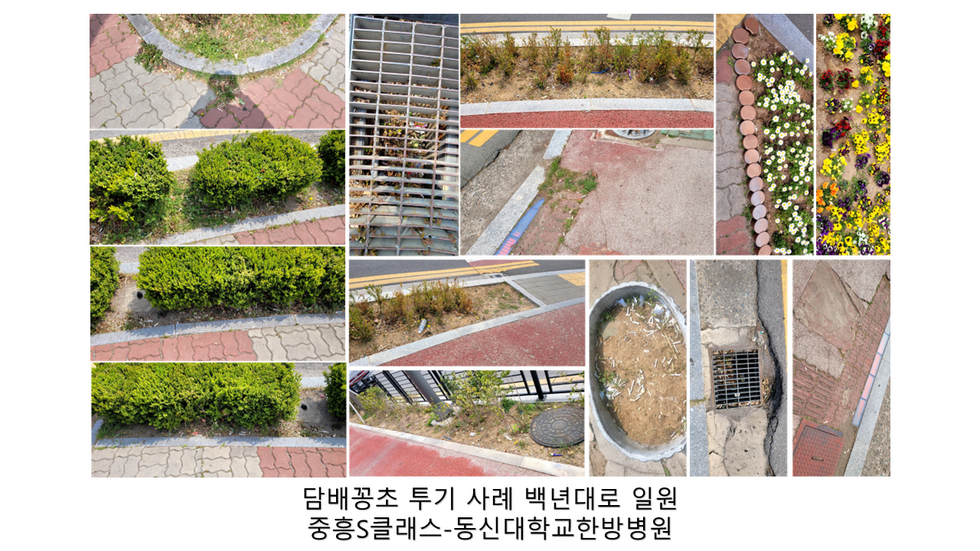 담배꽁초 무단 투기 사례 백년대로