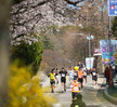 (04.06.목포일원) 유달산 마라톤 대회
