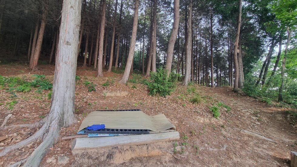 동네분이 장판을 깔아 놓으셨네요