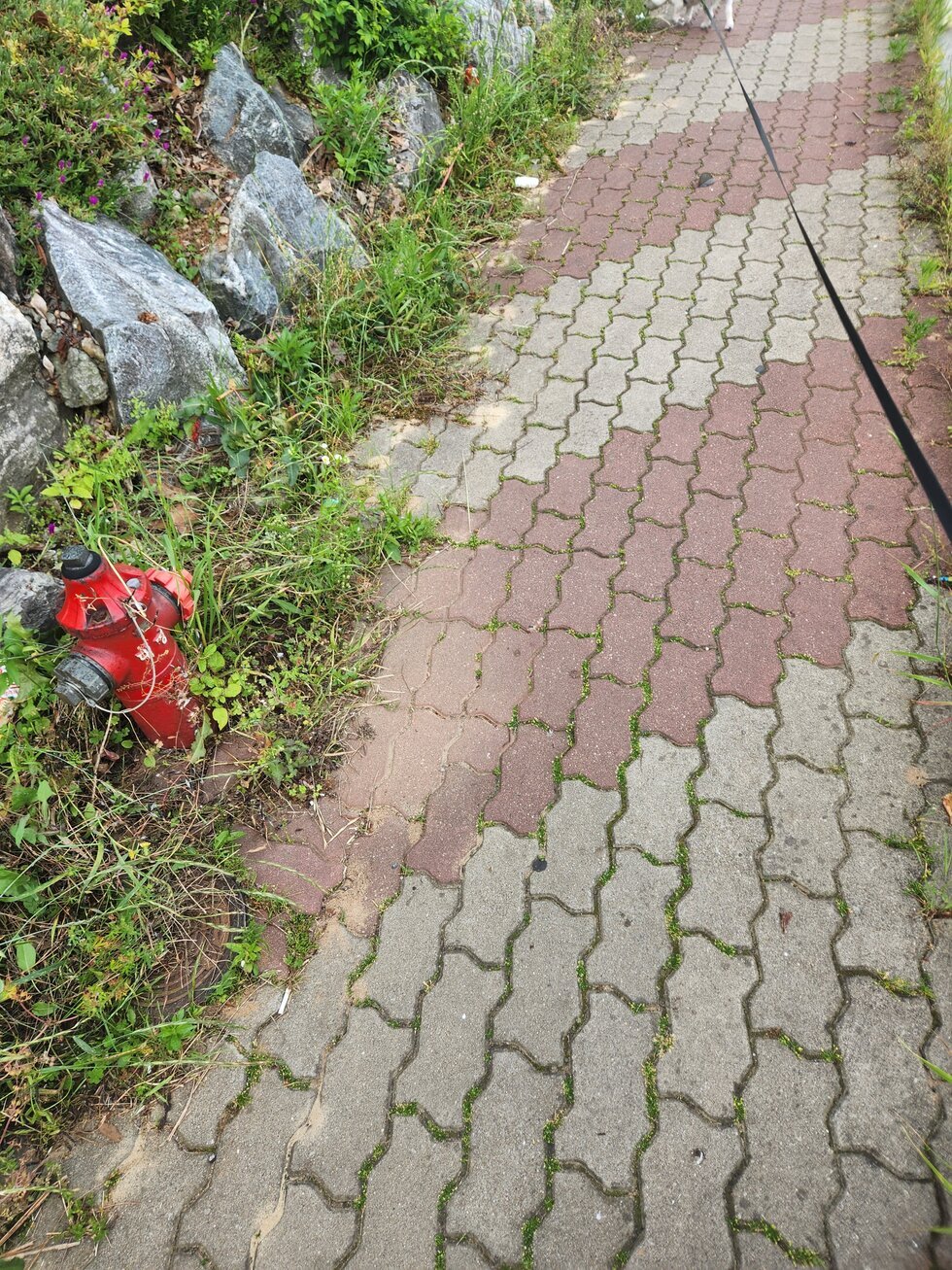 신호등앞