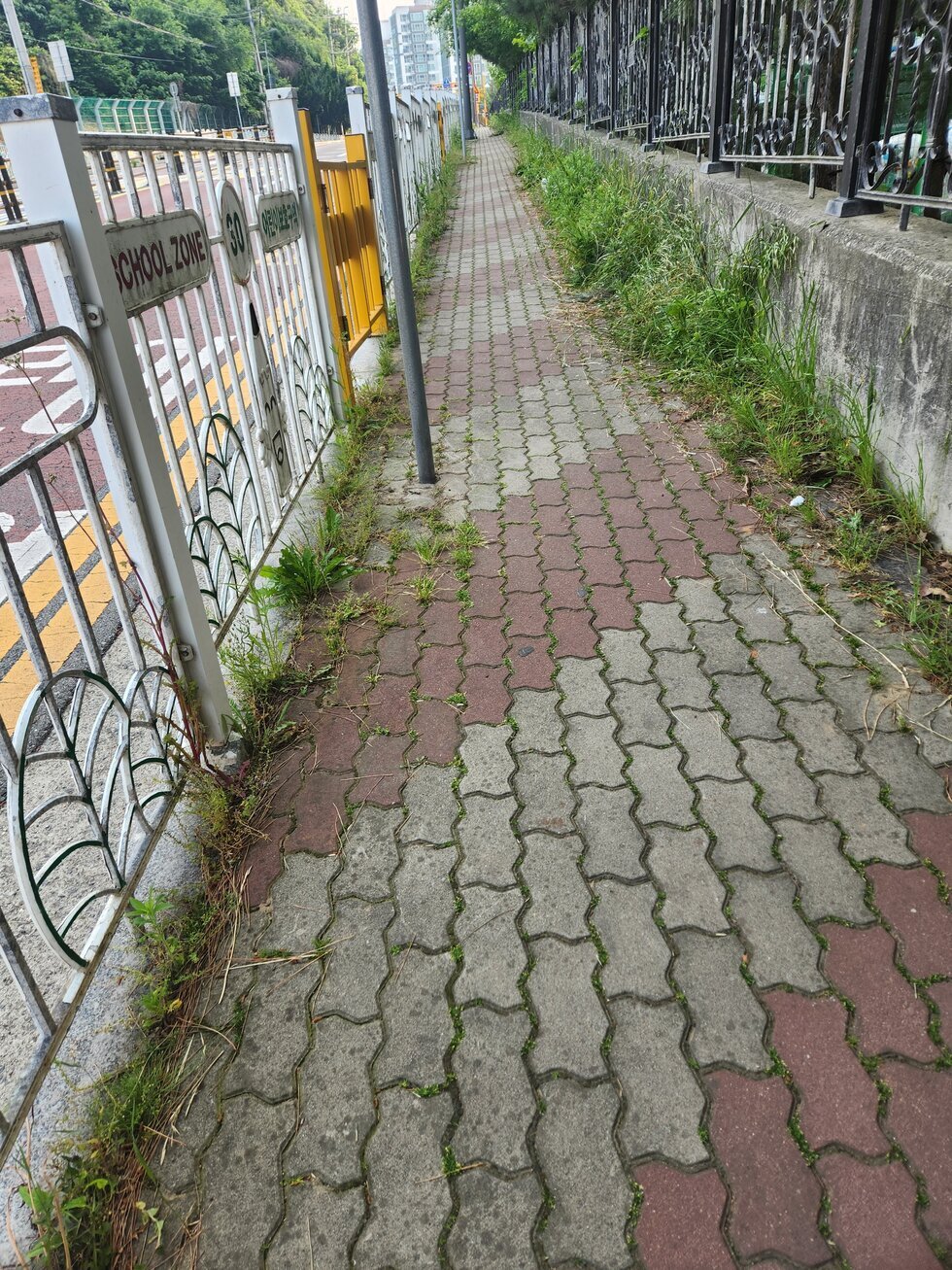 길