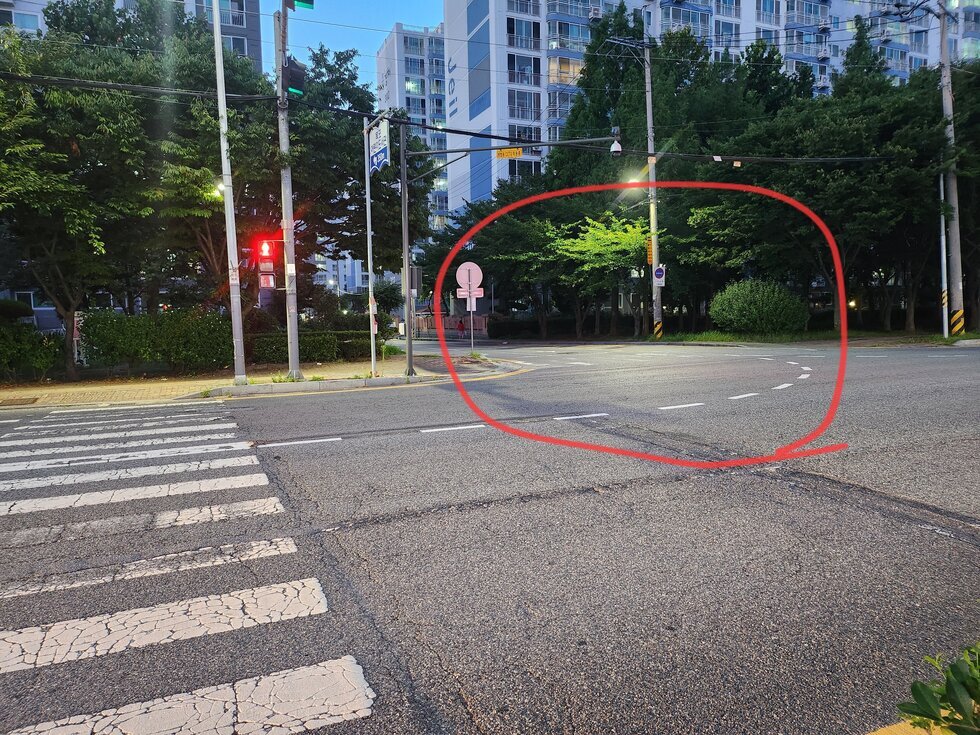제일3차아파트와 펠리시아아파트사이 사진