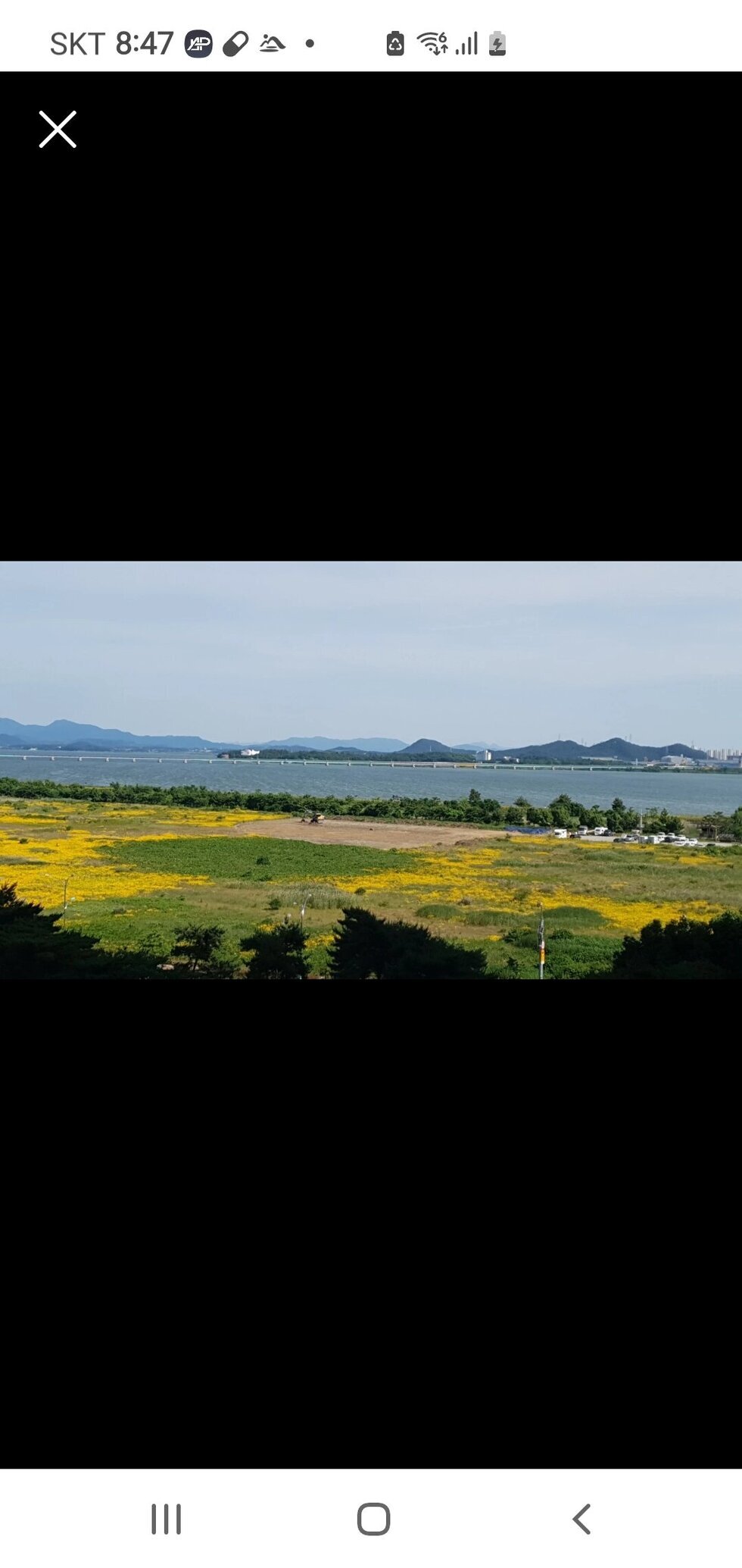 남악 수변공원 야구장 조성