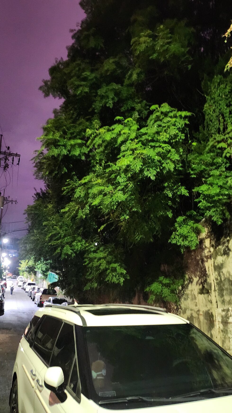 최근 사진1