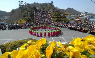 유달산 꽃축제 개막 (2009. 4. 4. 유달산)