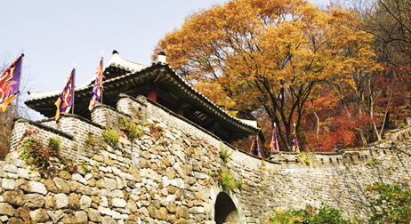 불게물든 단풍나무들이 남한산성 돌담주변으로 우거져있고 잘 정돈된 성벽이 장관을 이루는 모습