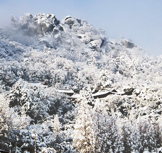 눈으로 뒤덮혀 장관을 이룬 유달산의 겨울