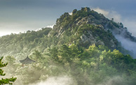 산
