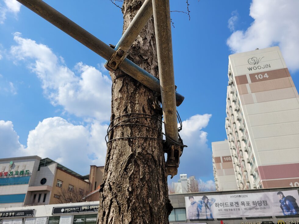 전경사진1
