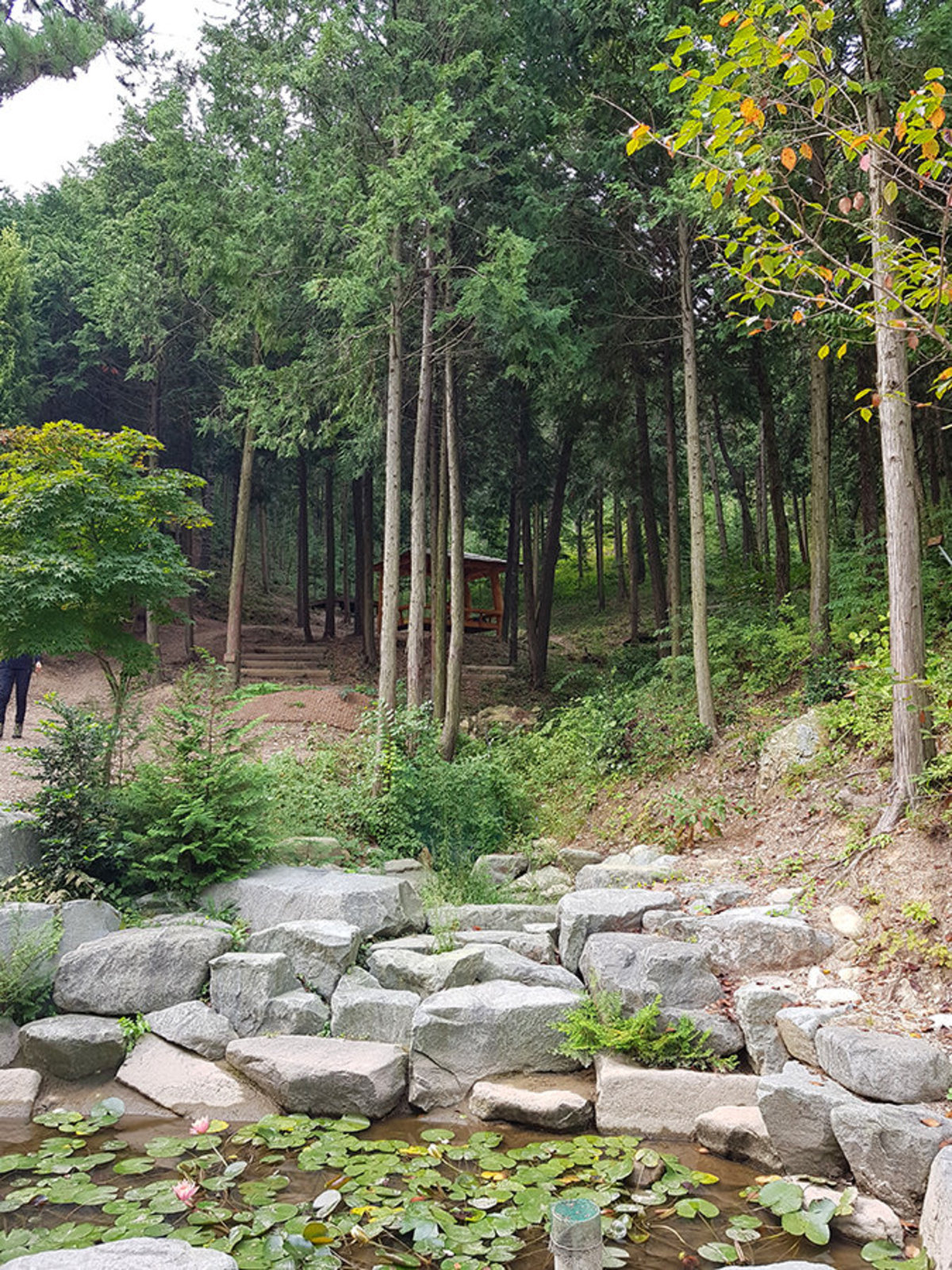 양을산산림욕장