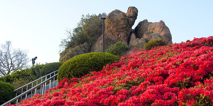 Nojeokbong
