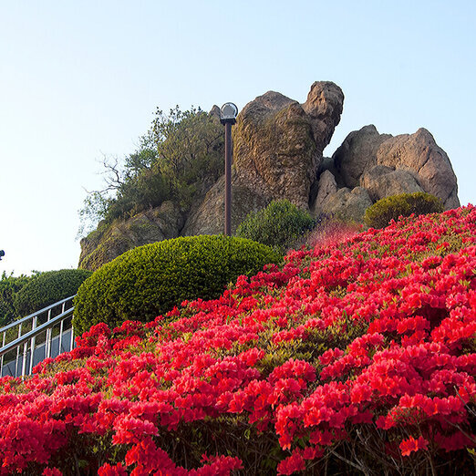 露積峰