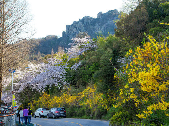 儒達山