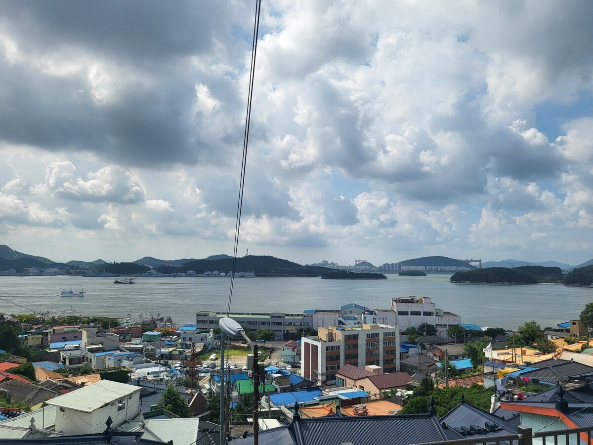 20230811_102917.jpg