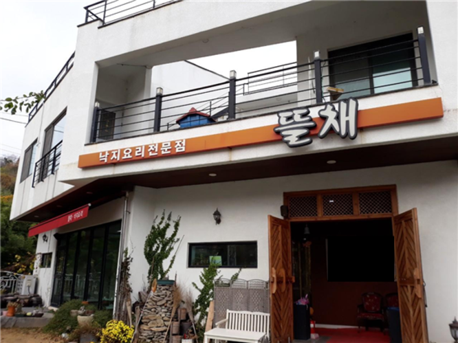 뜰채